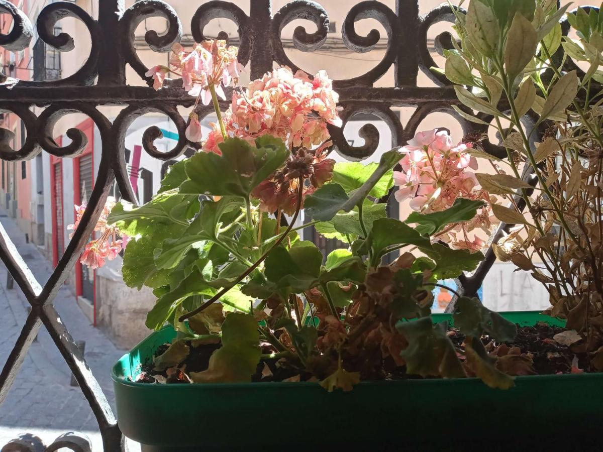 Apartamento Lavapies Al Lado Del Rastro マドリード エクステリア 写真