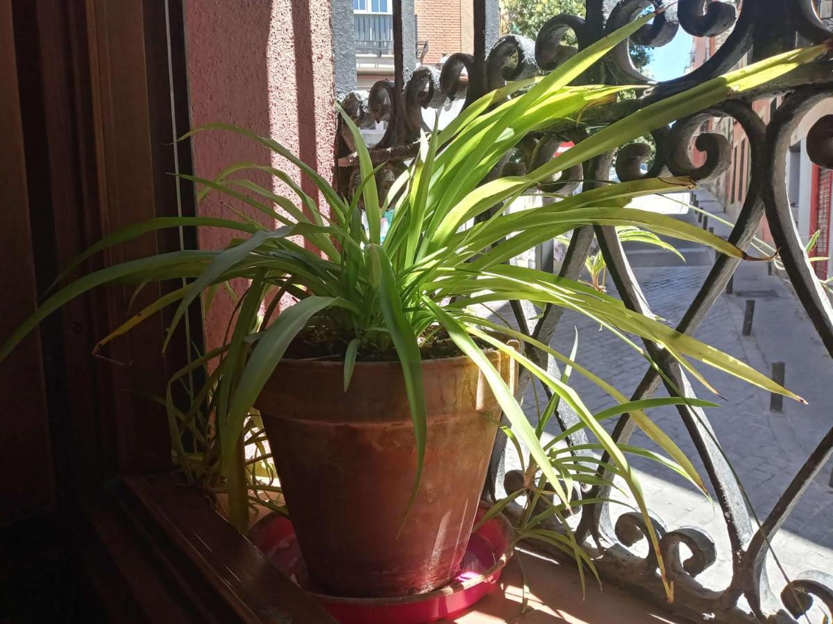 Apartamento Lavapies Al Lado Del Rastro マドリード エクステリア 写真